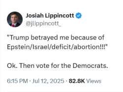 I_will_vote_democrats