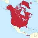GreaterAmerica