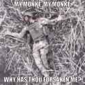 Saar monke