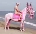 shelamov riding lavrov