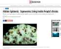 tapeworm cysts