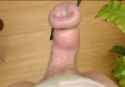 CBF9501158EDFE6783AFC36034EBA2DE0FD9E7C8_mes nudes