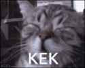 kek-cat-kek