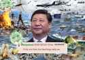Xi Fine