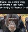 Screenshot_20250713_032503_Firefox