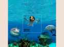 nirvana-nevermind-650x488-1212284369