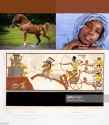 Brown like horse