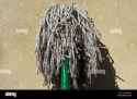 wishmop
