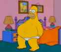Himoläski_homer_-D