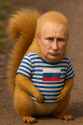 squirreltin
