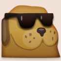 cool cat
