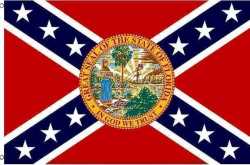 rebel-flags-confederate-flags-florida-rebel-flag-3-x-5-ft-standard-295433273388