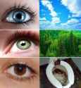 eye colors