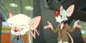 Animaniacs-Reboot-Trailer-Brings-Back-Pinky-The-Brain