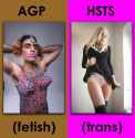 AGP_vs_HSTS