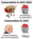 stupid conservatives