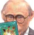 31 KB