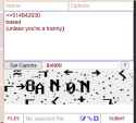 31 KB