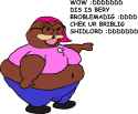 23 KB