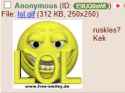 29 KB