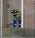 503 KB