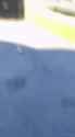 2 MB