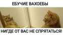 19 KB