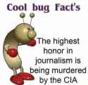 17 KB