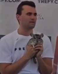 147 KB