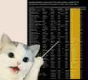 934 KB