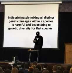 878 KB