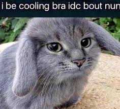 12 KB