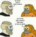 35 KB