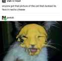 78 KB