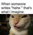 321 KB