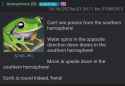 244 KB