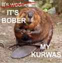 77 KB