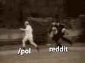 2.03 MB