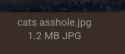 19 KB