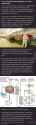 2.15 MB