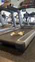 treadmill cat.mp4