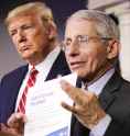 trump_fauci.png
