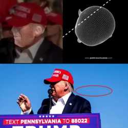 730 KB