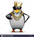 141 KB