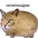57 KB