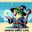 217 KB