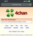 449 KB