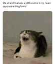 54 KB