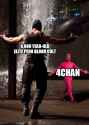 290 KB
