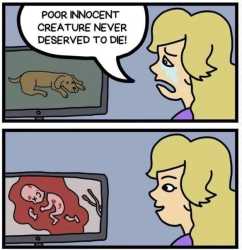 97 KB